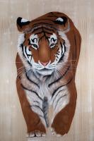 WALKING TIGER   Animal painting, wildlife painter.Dogs, bears, elephants, bulls on canvas for art and decoration by Thierry Bisch 